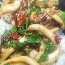 กะเพราปลาหมึกราดข้าว