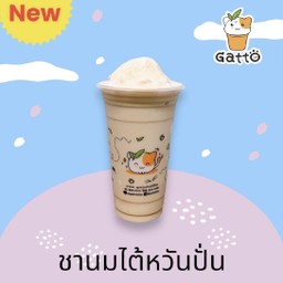ชานมไต้หวันปั่น