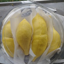 ทุเรียนหมอนทองเนื้อล้วน 500 กรัม เกรด A