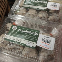 แหนมเห็ดอินทรีย์