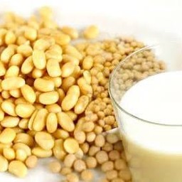 น้ำเต้าหู้นมสดร้อน