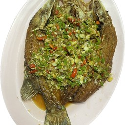 Deep Fried Sea Bass With Chili Sauce