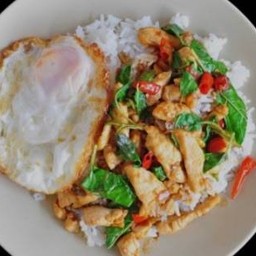 กะเพาไก่ ไข่ดาว