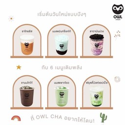 Owl Cha - พหลโยธิน52 สะพานใหม่-พหลโยธิน52
