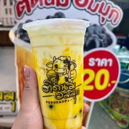 นมสดมะม่วง