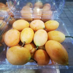 มะยงชิด