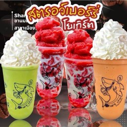 Sharkcha ชานมใต้หวัน-พี่ฉลามชัคชัค สาขา เมืองร้อยเอ็ด หน้าร้านเอกพลคาร์แคร์