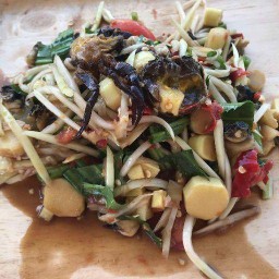 ส้มตำแม่มะลิ กาดมาลิน