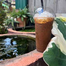 โกปิโก้