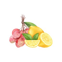 C2 Lychee Lemon Sorbet