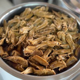 ปลายปีกตุ๋นเปล่าๆ