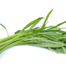 ผักบุ้ง