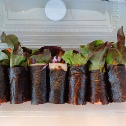 สลัดโรลพันสาหร่ายไส้รวม