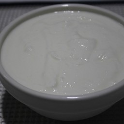 Plain Yogurt ( Dahi)