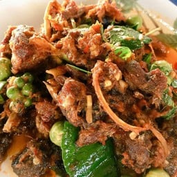 นกผัดเผ็ด