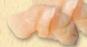 หอยเชลล์ ซูชิ(โฮตาเตะ)(1คำ)