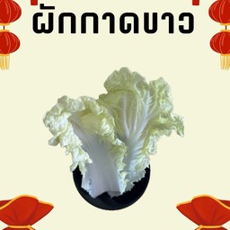 MENU_3123802WJ_1740910412