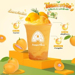 สมูทตี้มะยงชิด