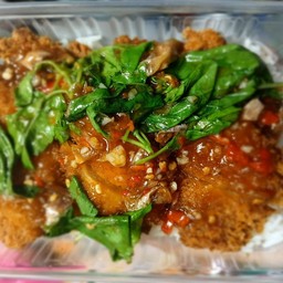 กะเพราไก่กรอบราดข้าว