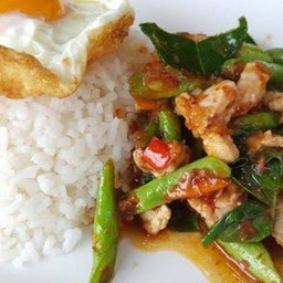 กระเพราหอม บ้านน้องไพลิน