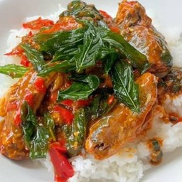 กะเพราปลากระป๋อง