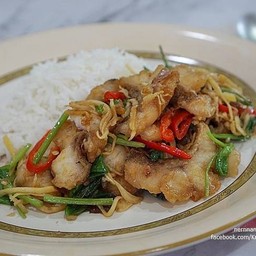 ข้าวราดปลากระพงทอดผัดคึ่นฉ่าย
