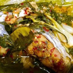 หมก ปลาเผาะรสแช่บบ