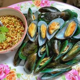 หอยแมลงภู่