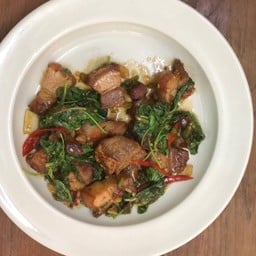 ผัดกะเพราหมู , ไก่