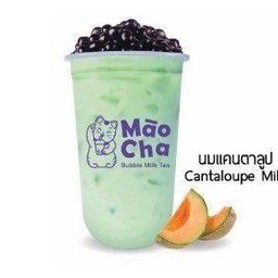 นมแคนตาลูป