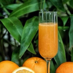 Orange juice