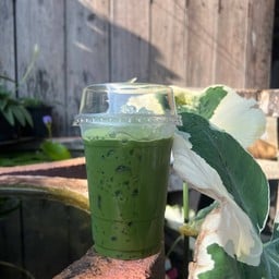 เพียวมัทฉะ