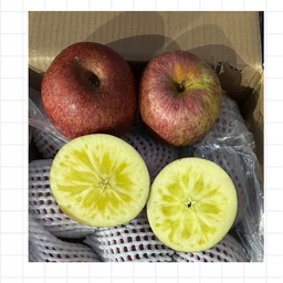 Fruva Fruit ผลไม้สดปอกพร้อมทาน