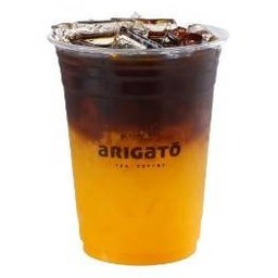 อาริกาโตะคอฟฟี่สปาร์คกลิ้งออเร้นจ์ 16ออนซ์