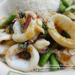 กะเพราปลาหมึก