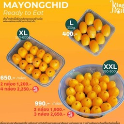 MENU_3126672Gz_1741246786