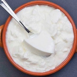 โยเกิร์ต