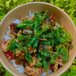 กระเพราไข่เยี่ยวม้าไก่