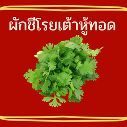 ผักชี