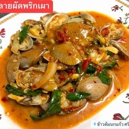 หอยลายผัดพริกเผา