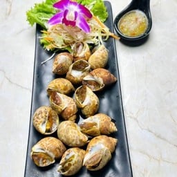 Grilled Areola Babylon