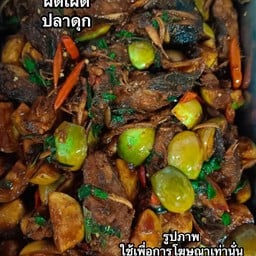 ผัดเผ็ดปลาดุก (เป็นกับ)