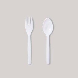 ช้อนส้อมพลาสติก