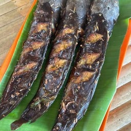 ปลาดุกย่าง