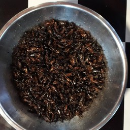 จิ้งหรีดทอด