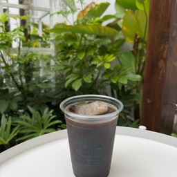 โฮจิฉะลาเต้ มะพร้าว