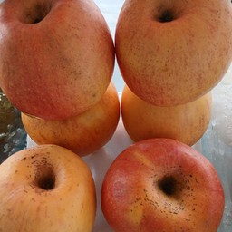 แอปเปิ้ลพร้อมทาน