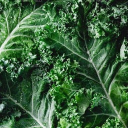 ดื่มมัทฉะด้วยกันนะ