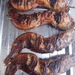 ปลาดุกย่าง