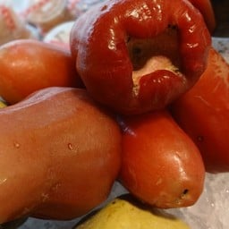 ผลไม้กาญจนา ปตท.เอลพีจี รวยมั่งมี